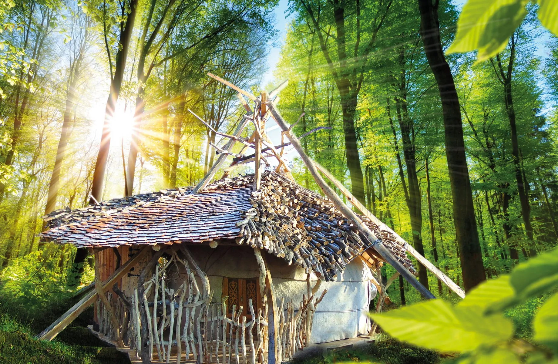 Turisede_Baumhaus_Im_Wald