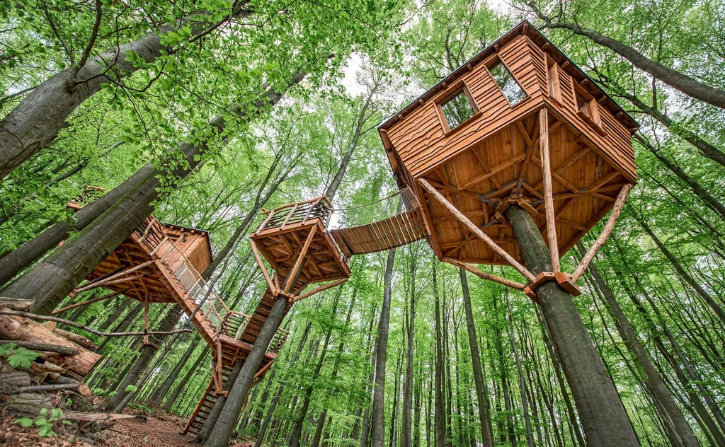 Baumhaushotel Robins Nest