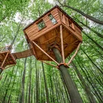 Baumhaushotel Robins Nest
