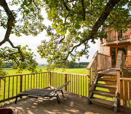 Baumhaushotel_Modernes_Baumhaus