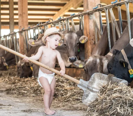 Baumhaushotel_Kind_im_Kuhstall