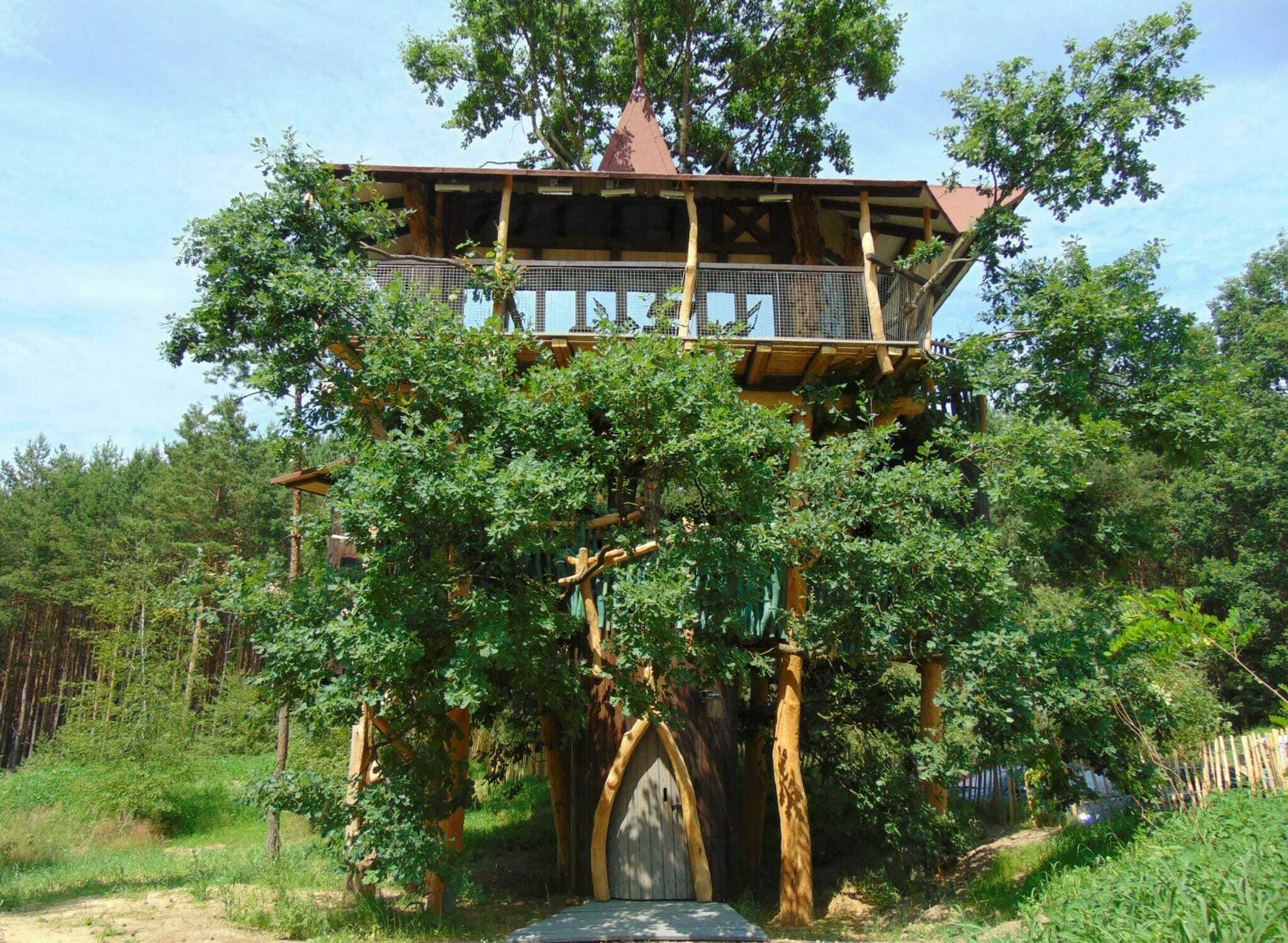 Übernachten im Baumhaus: 7 Hotelvarianten – und welche zu Ihnen passt ...