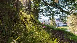 Waldblick mit verschwommenem Kranzbach im Hintergrund