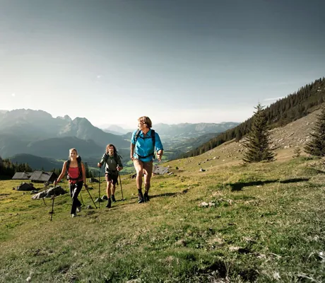 Bergwanderung_Ebner's