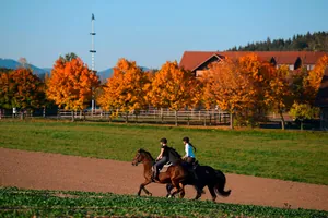 Zwei Frauen reiten im Herbst auf Perden_Ulrichshof_Rimbach