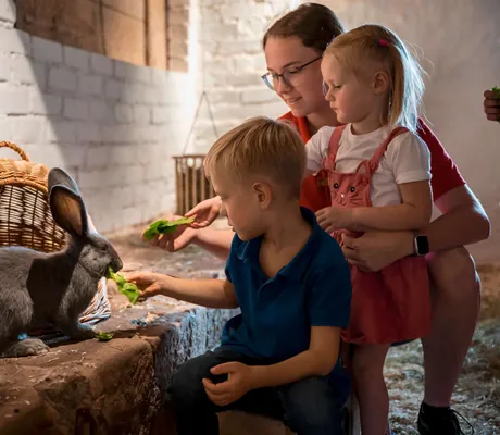 Kaninchenstall im Hotel Bareiss