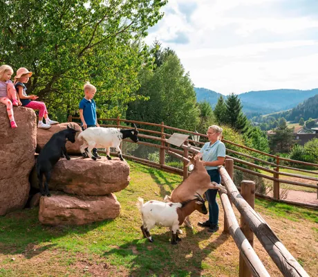 Streichelzoo mit Ziegen im Hotel Bareiss