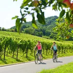 Radfahrer auf dem Radweg Deutsche Weinstraße bei Leinsweiler
