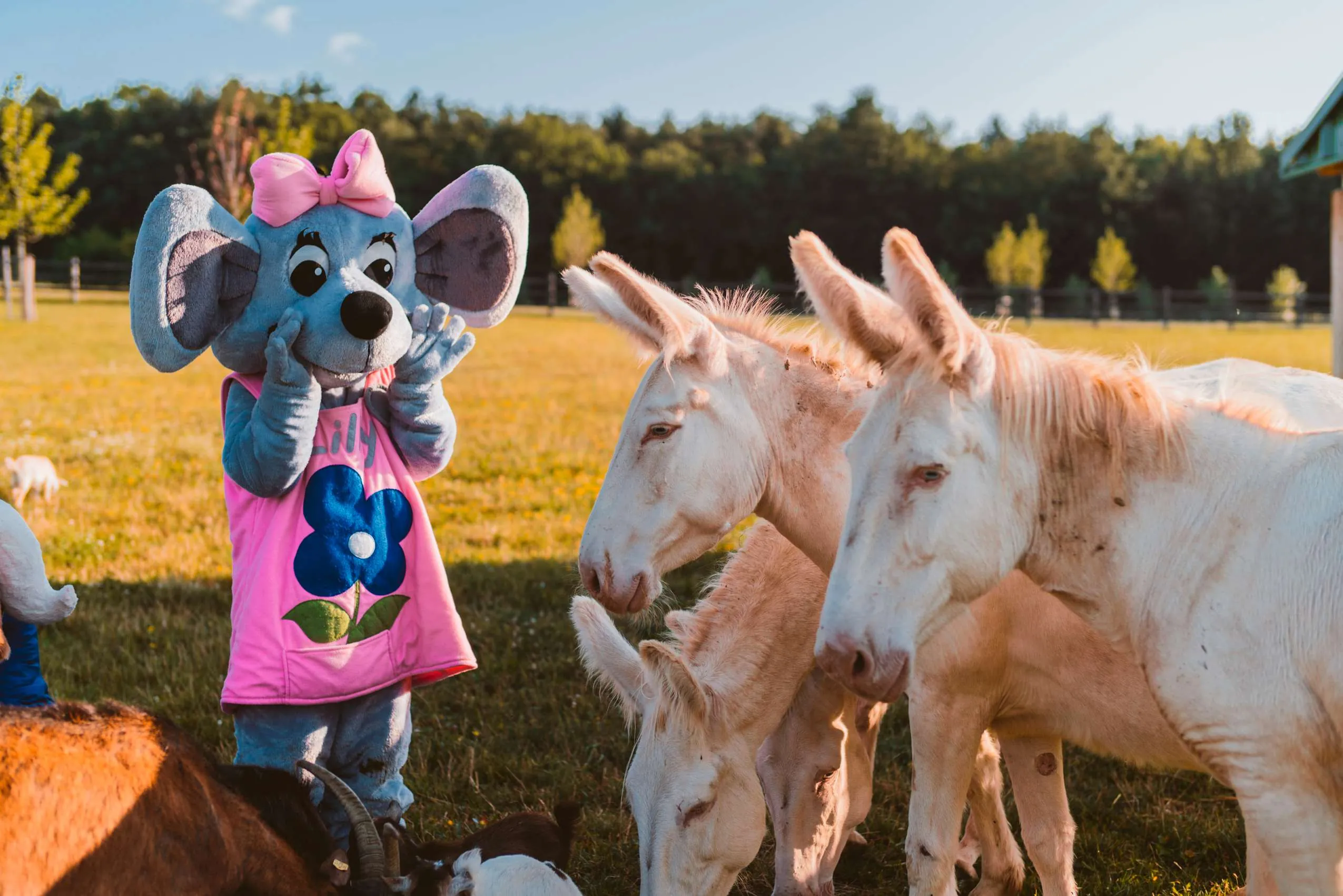 Reiters_Esel und Maus