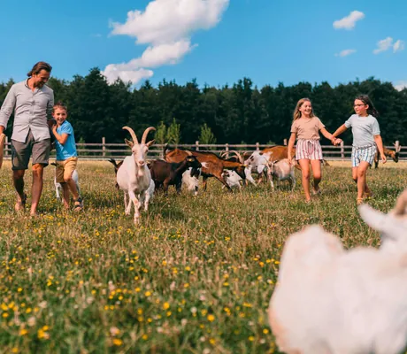 Reiters_Familie_auf_der_Ziegenweide
