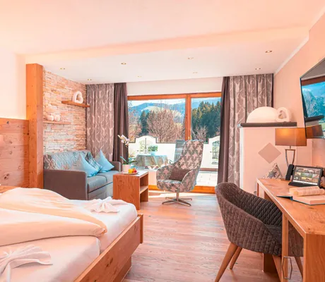 Doppelzimmer mit Schreibtisch und Blick nach draußen