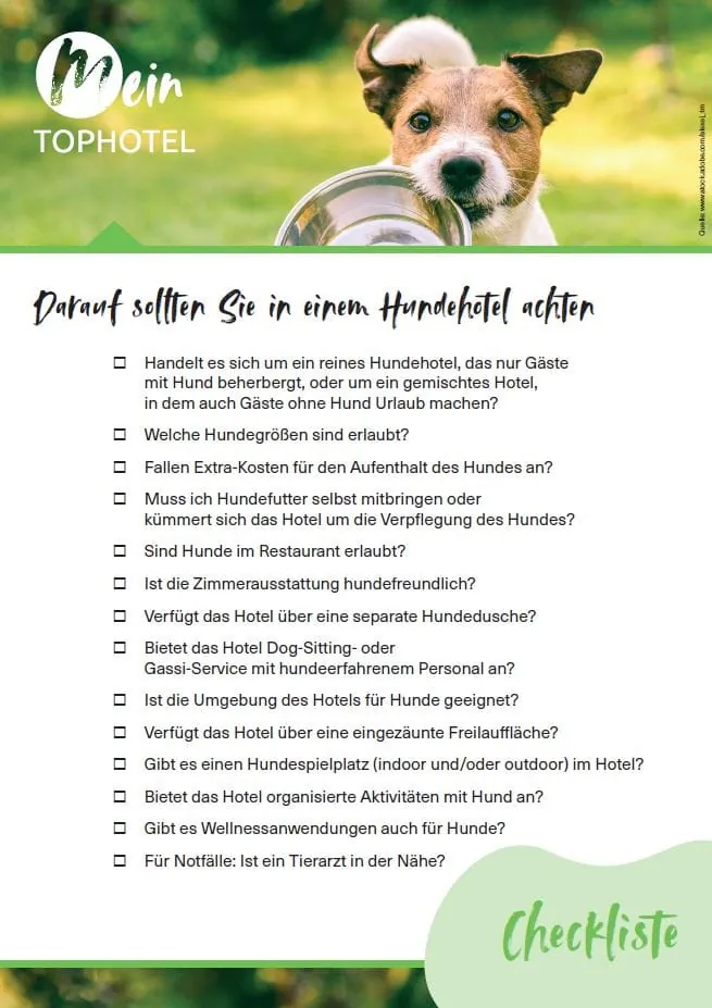 Urlaub mit Hund: Darauf müssen Sie achten