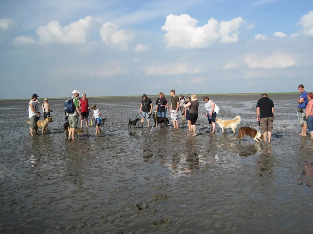 Hundestrände an der Nordsee_Wattwanderung mit Hunden