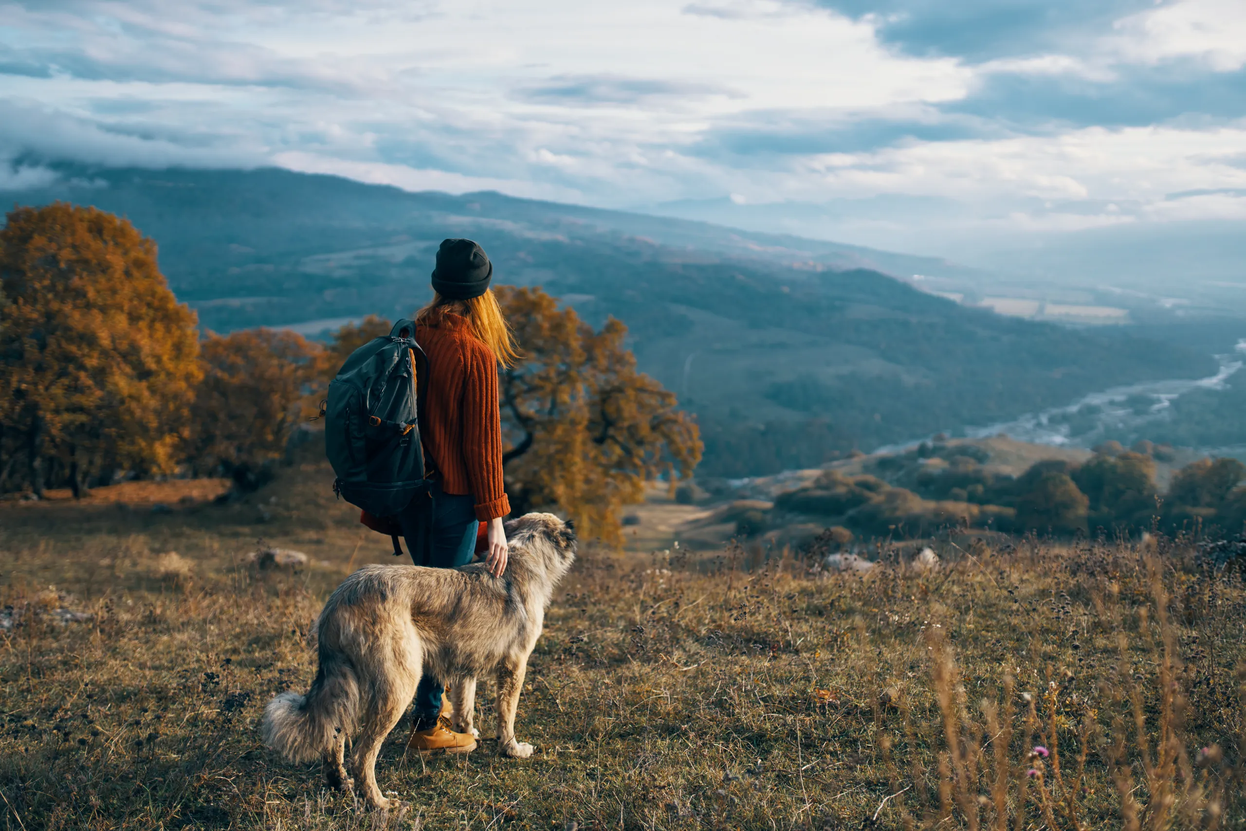 Frau mit weißen Hund blickt über die Berge