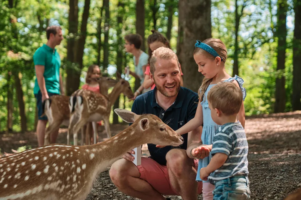 Freizeitpark Erlebnispark Tripsdrill Wildtiergehege Rehe Tiere Füttern Familie