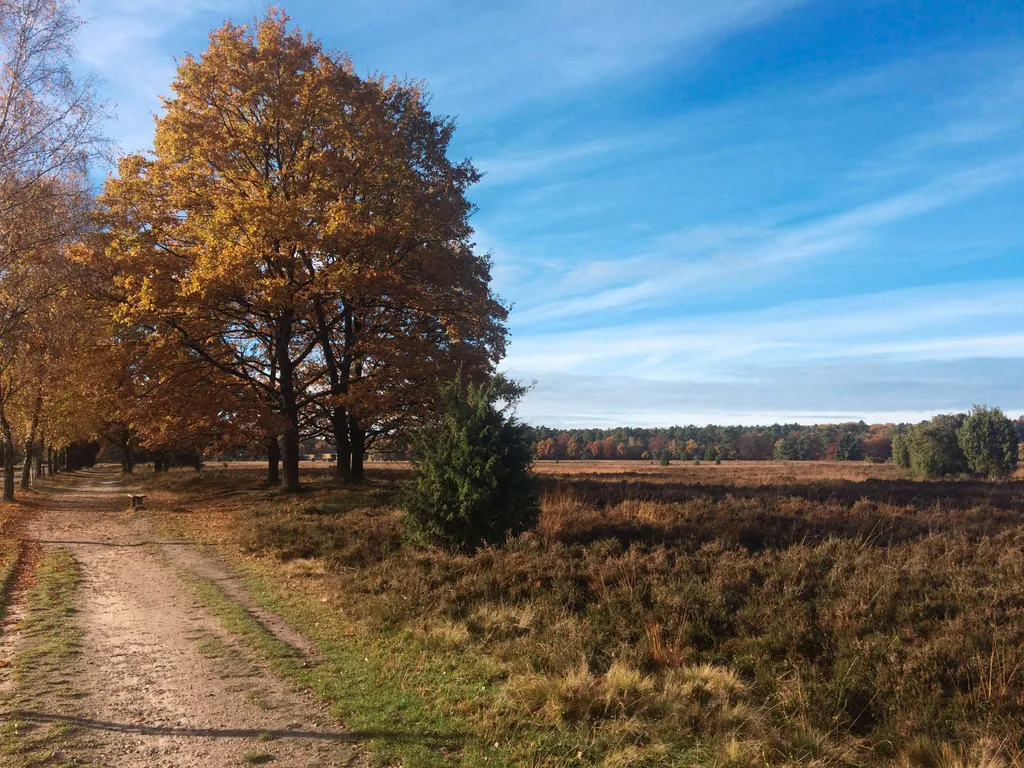 Reiseziele im Oktober Heide Landschaft Herbst