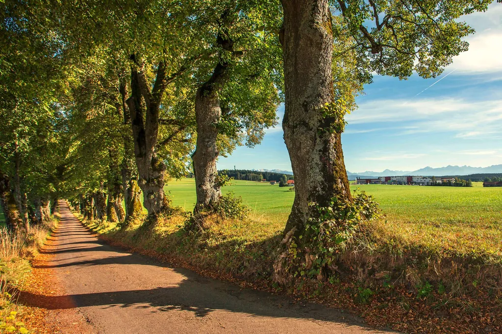 Reiseziele im Oktober Lindenallee Marktoberdorf Allgäu