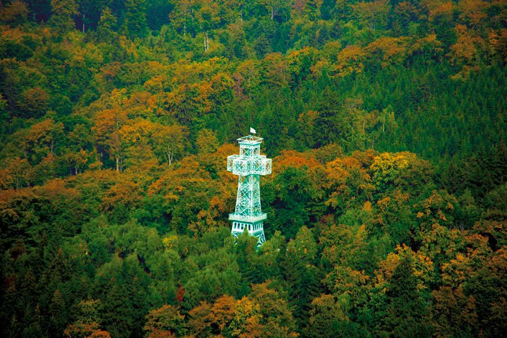 Blick vom Schindelbruch auf das eiserne Josephskreuz_Wandern mit Hund