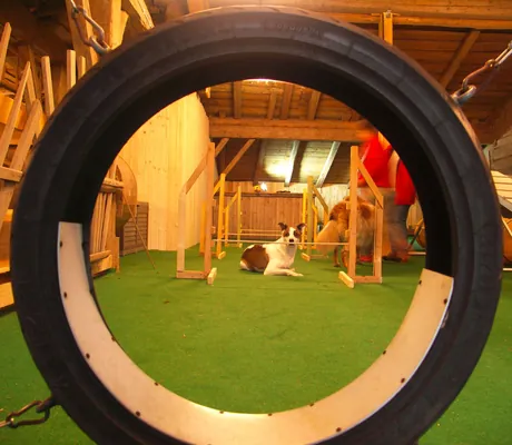 Reifen im Blick auf HundBaerenhof_Philippsreut