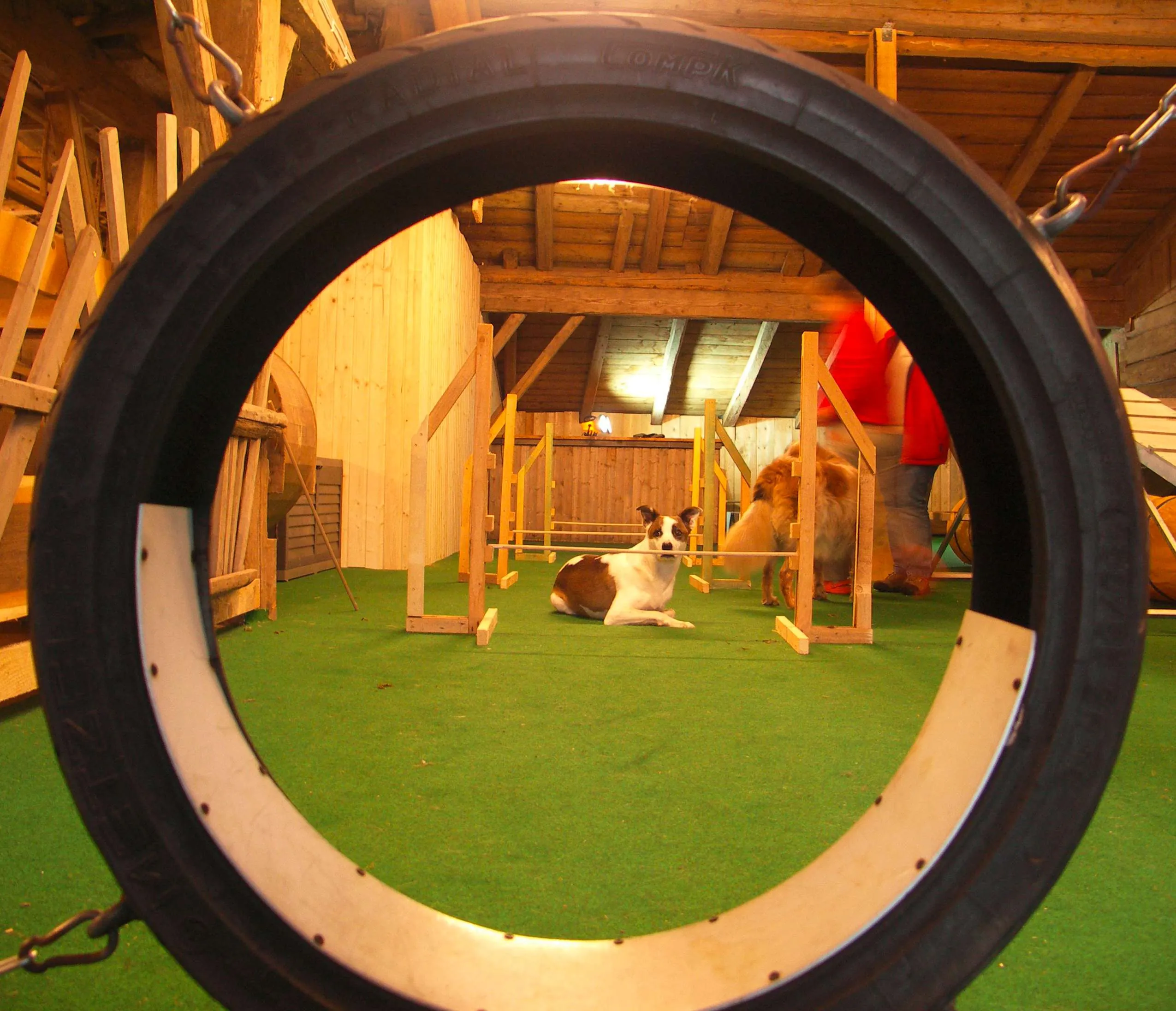 Reifen im Blick auf HundBaerenhof_Philippsreut