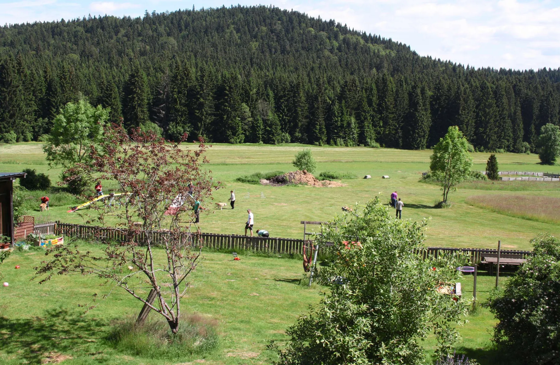 Blick auf HundespielplatzBaerenhof_Philippsreut
