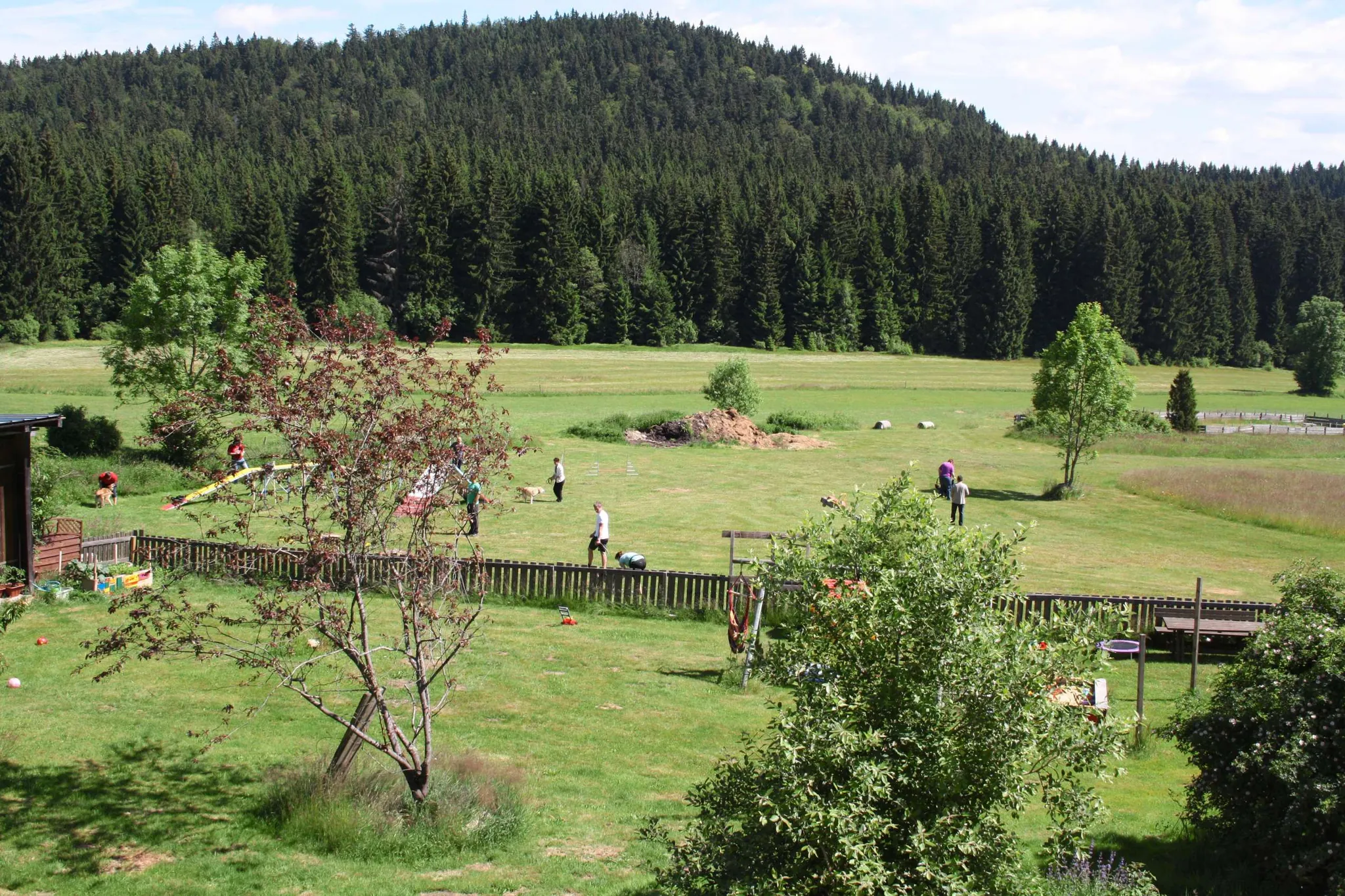 Blick auf HundespielplatzBaerenhof_Philippsreut