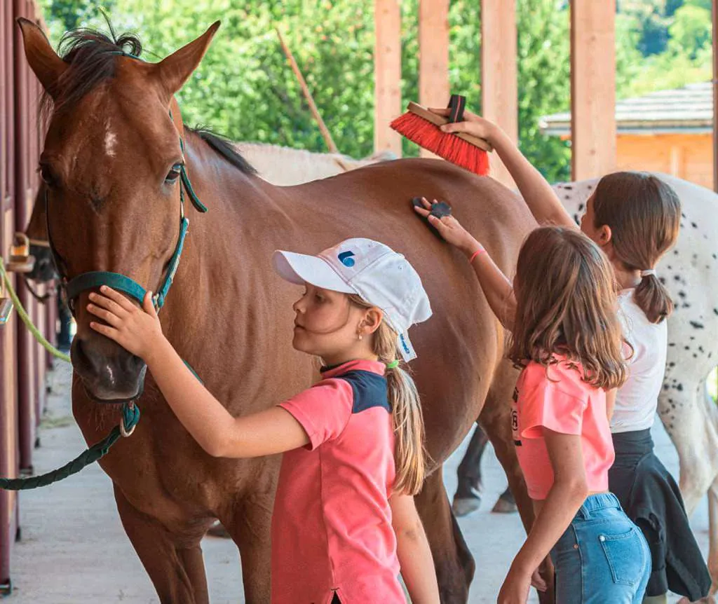 Gardaseeurlaub miit Kindern, die ein Pferd mit braunem Fell striegeln.