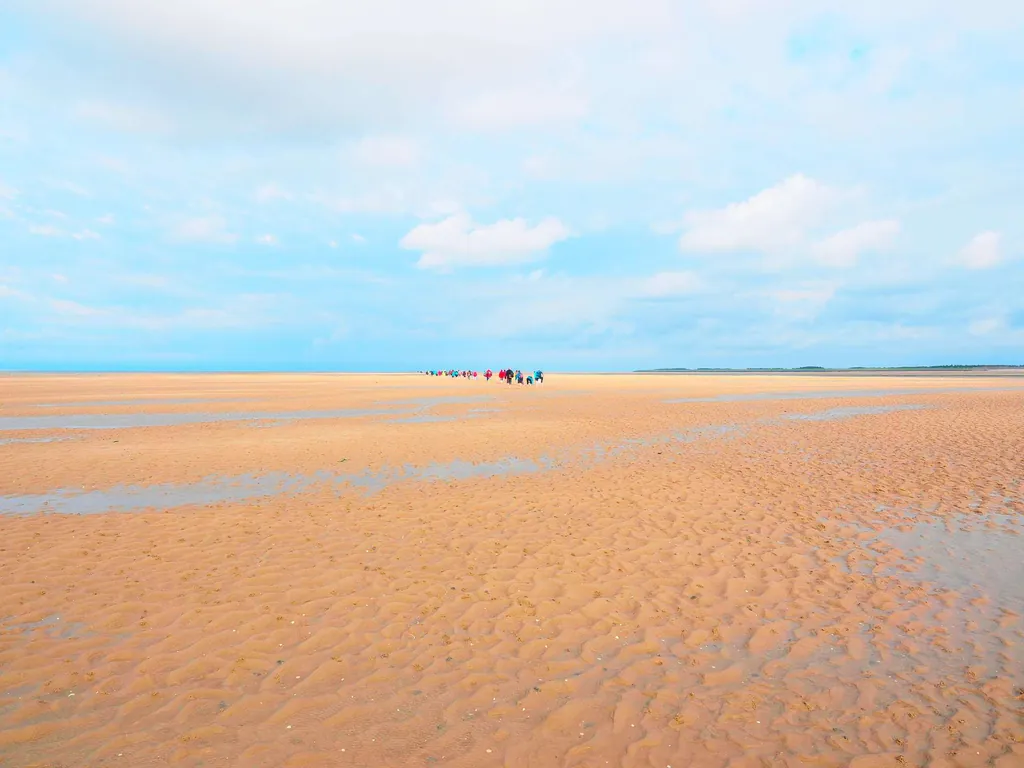 In ihrem Strandurlaub in Deutschland darf eine Wattwanderung nicht fehlen, hier auf der Nordseeinsel Föhr.