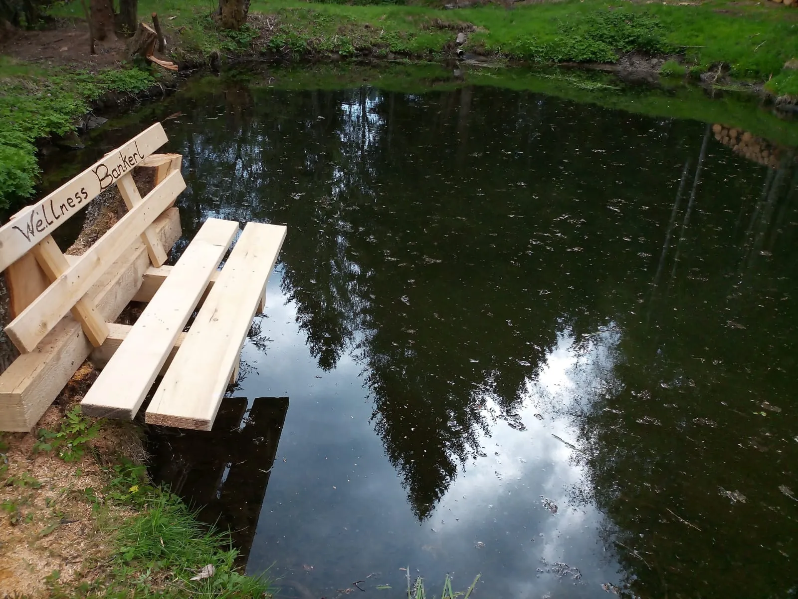 Natürliches Hundebadeteich mit Ruhebank des Hundehotels Bärenhof in Bayern