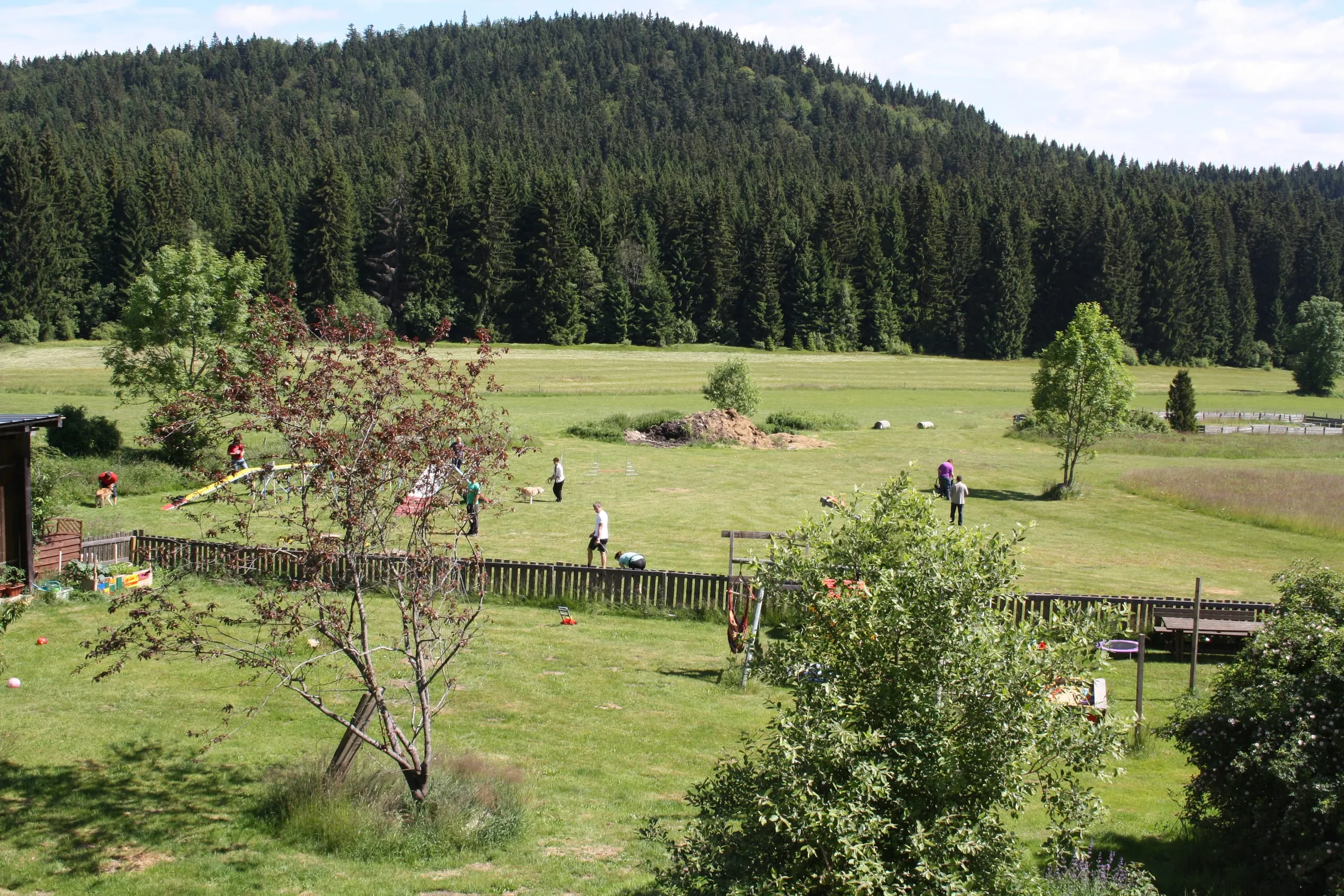 Große Hundewiese mit angrenzendem Wald und Agility-Parcours-Elementen beim Hundehotel Bärenhof in Bayern