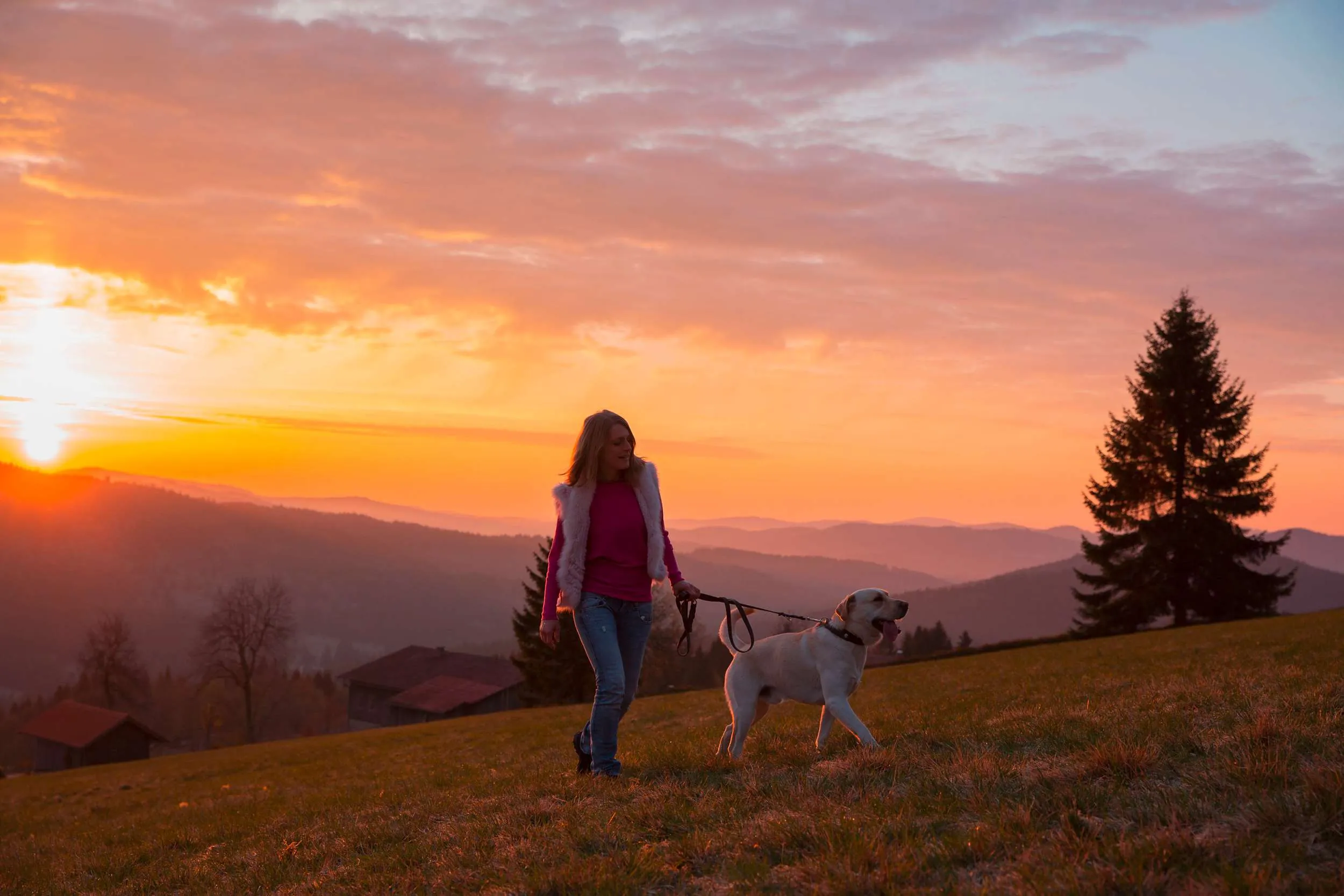 Junge Frau geht mit Hund beim Sonnenuntergang im Bayerischen Wald spazieren