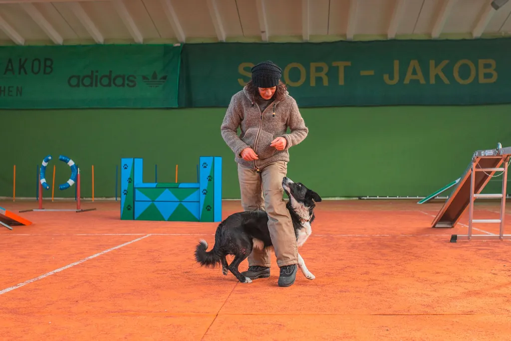 Frau trainiert mit Hund in der Hundehalle des Landhotel Haus Waldeck