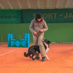 Frau trainiert mit Hund in der Hundehalle des Landhotel Haus Waldeck