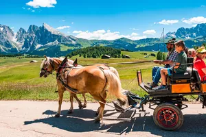 Pferdekutsche in der Seiser Alm
