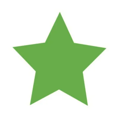 Icon grüner Michelin Stern