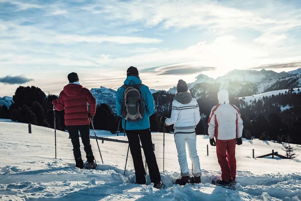 Vier Skifahrer stehen auf Ski und schauen in die Berge