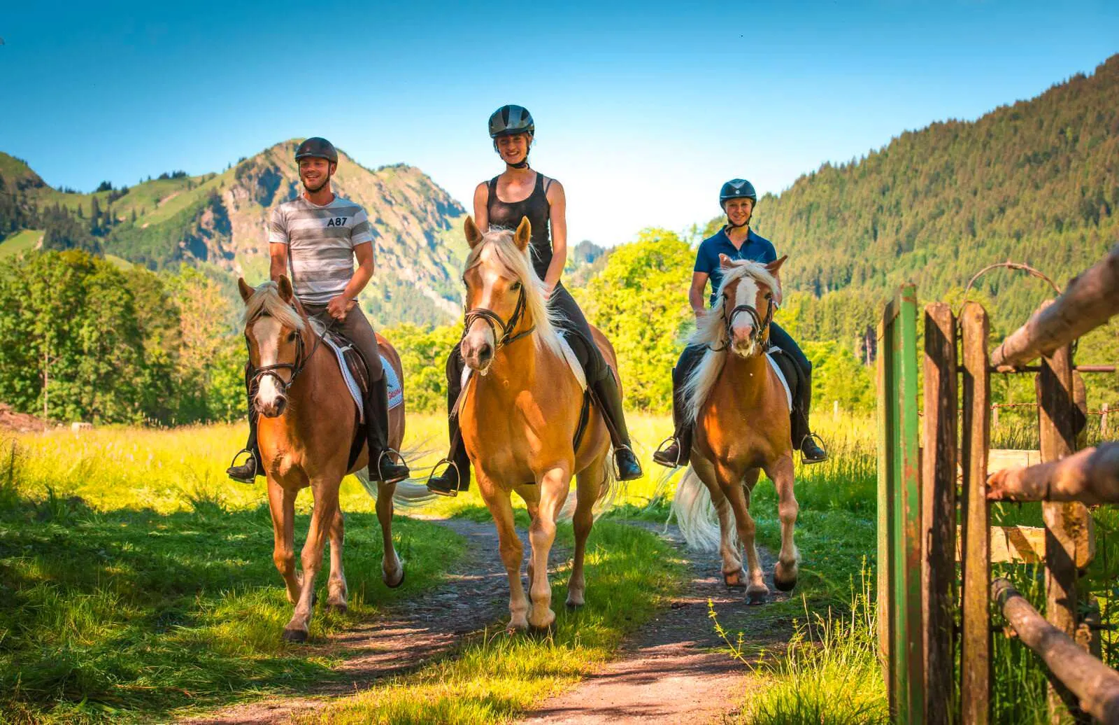 Drei Reiter mit hellbraunen Pferden auf Waldweg