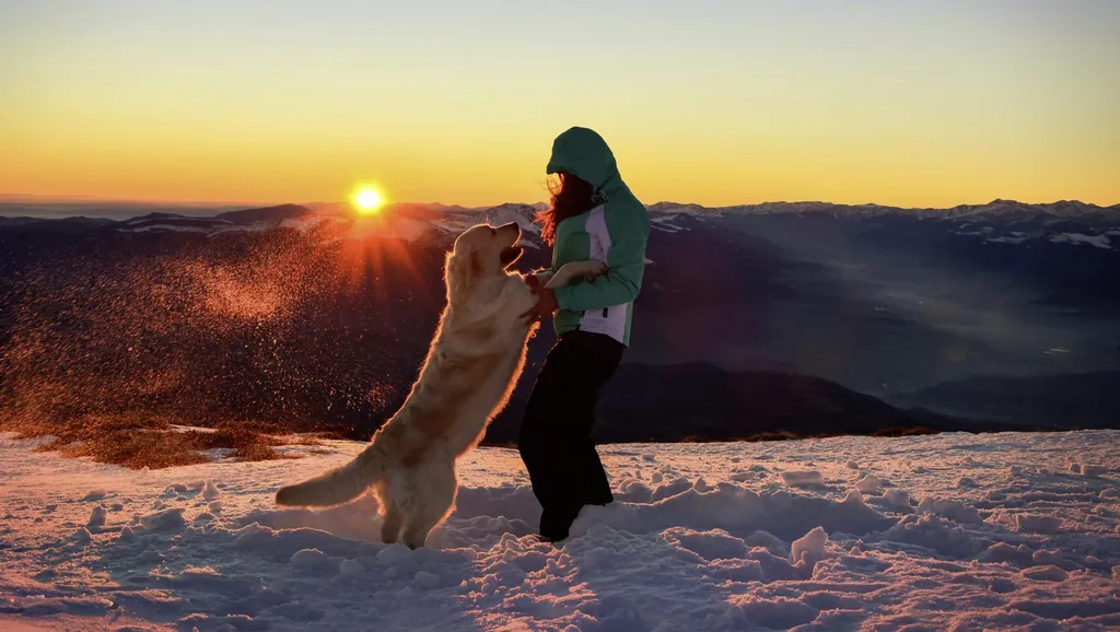 Junge Frau mit Golden Retriever vor Sonnenuntergang in den verschneiten Bergen