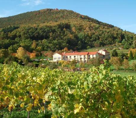 Hotelgebäude hinter Weinreben im Alte Rebschule