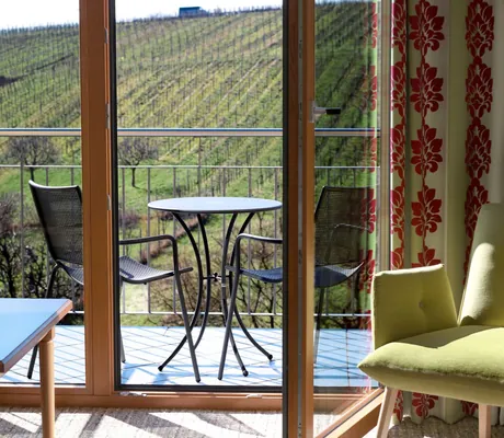 Blick vom Zimmerbalkon auf Weinreben im Alte Rebschule