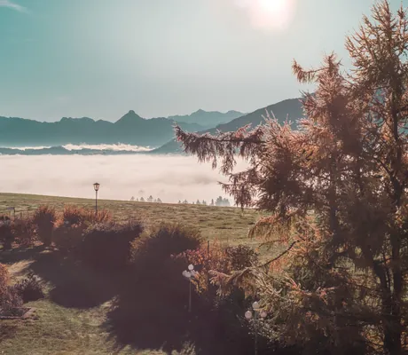Blick über das herbstliche Wellnesshotel Mittelburg mit Nebel im Hintergrund
