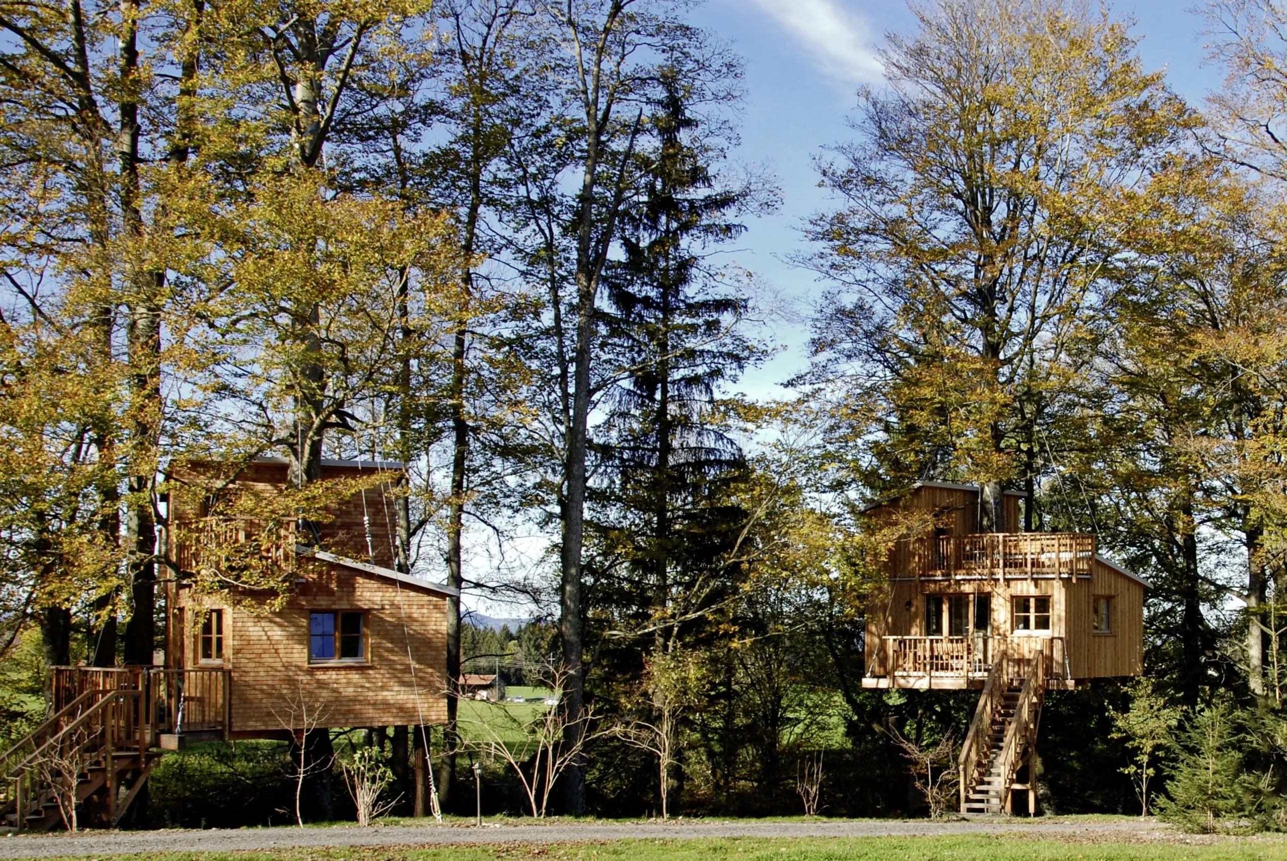 zwei Baumh&auml;user im Wald im Baumhaushotel Allg&auml;u