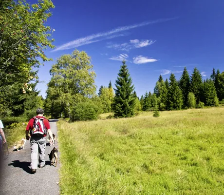Mann mit Rucksack wandert mit Hund im Bärenhof