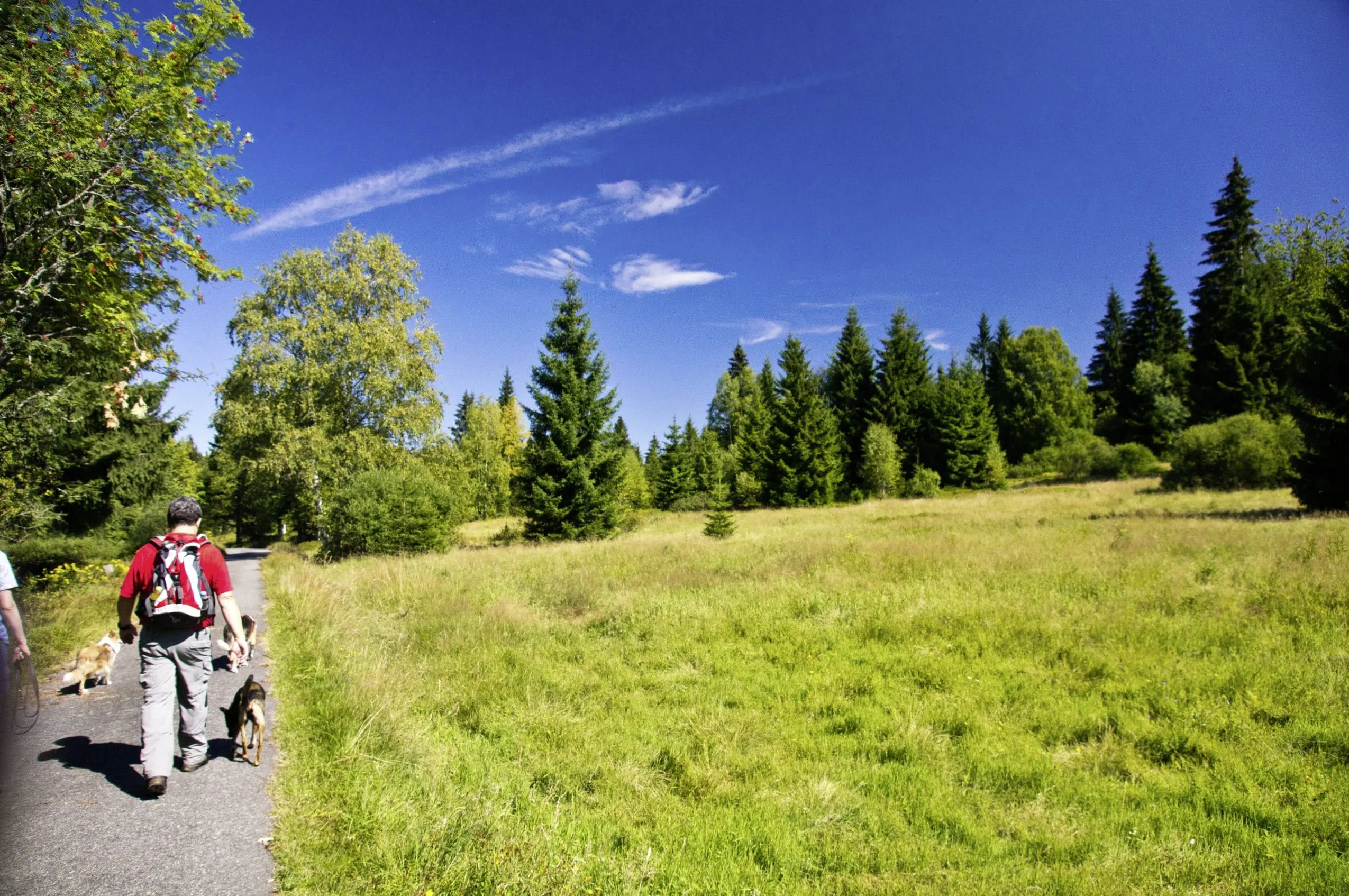 Mann mit Rucksack wandert mit Hund im Bärenhof