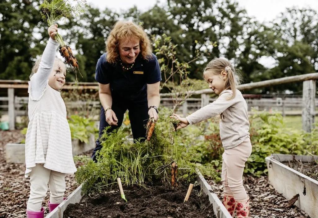 Kinder helfen beim M&ouml;hren ernten im Gem&uuml;segarten des Familotel Landhaus Averbeck