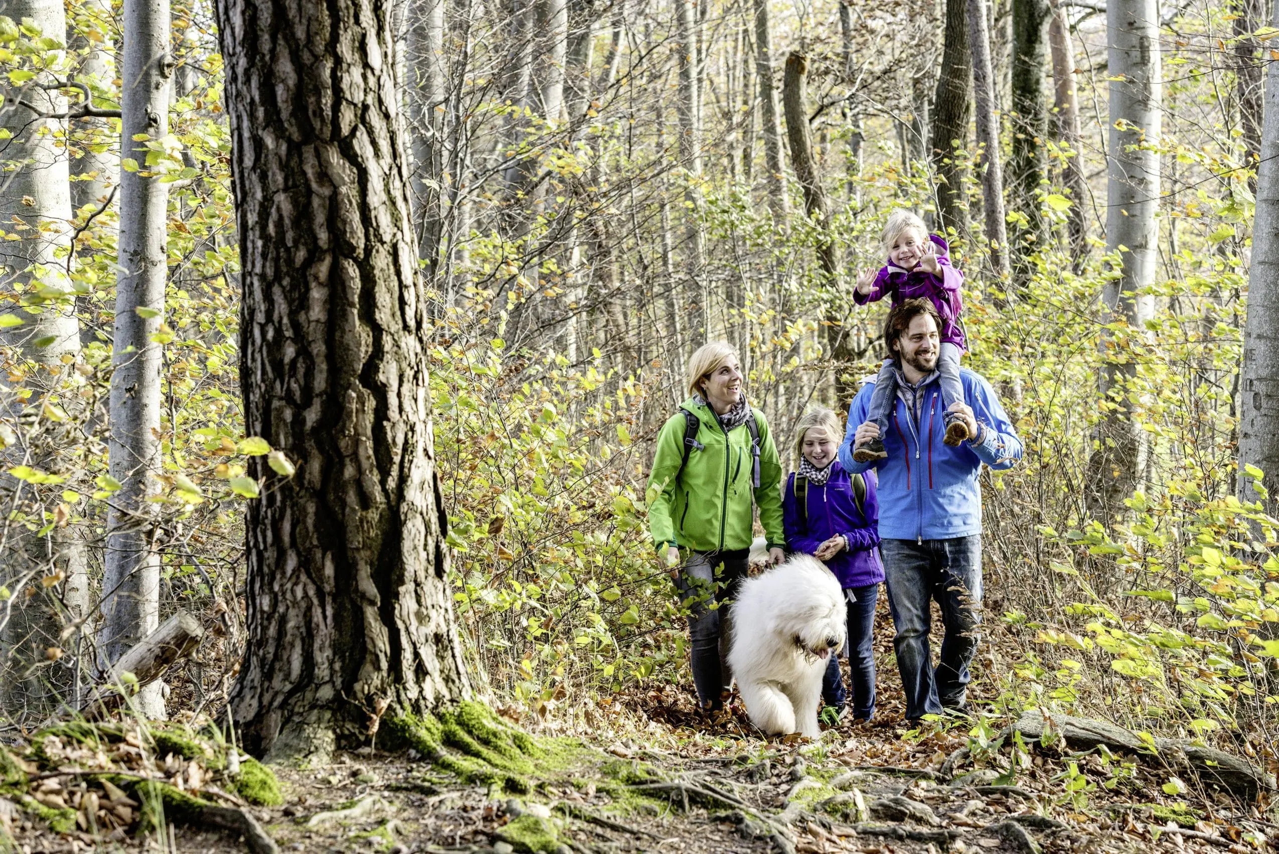 Familie mit Hund bei einer Wanderung durch den Schwarzwald