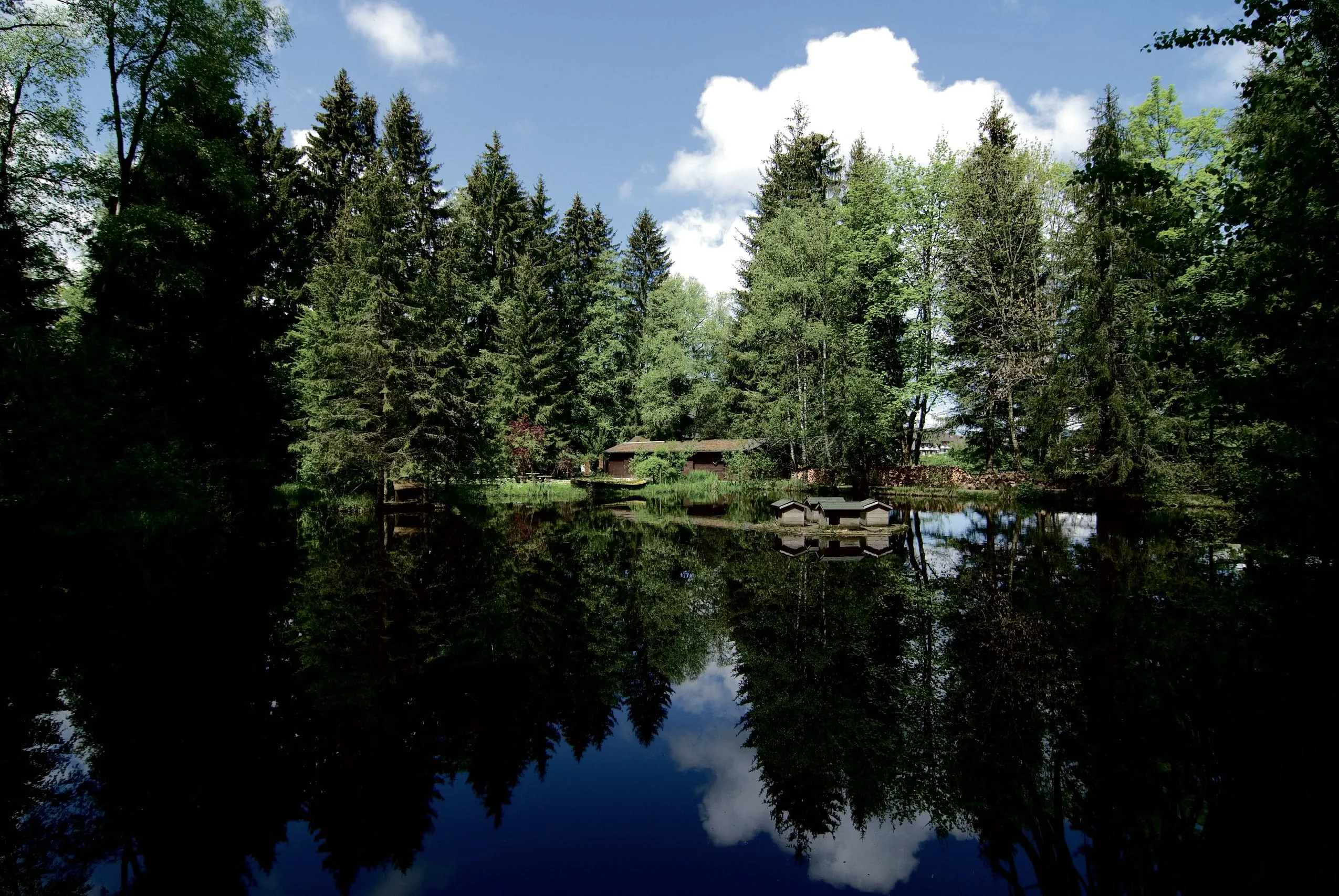 Privatpark des Parkhotel Adler im Schwarzwald mit Entenweiher