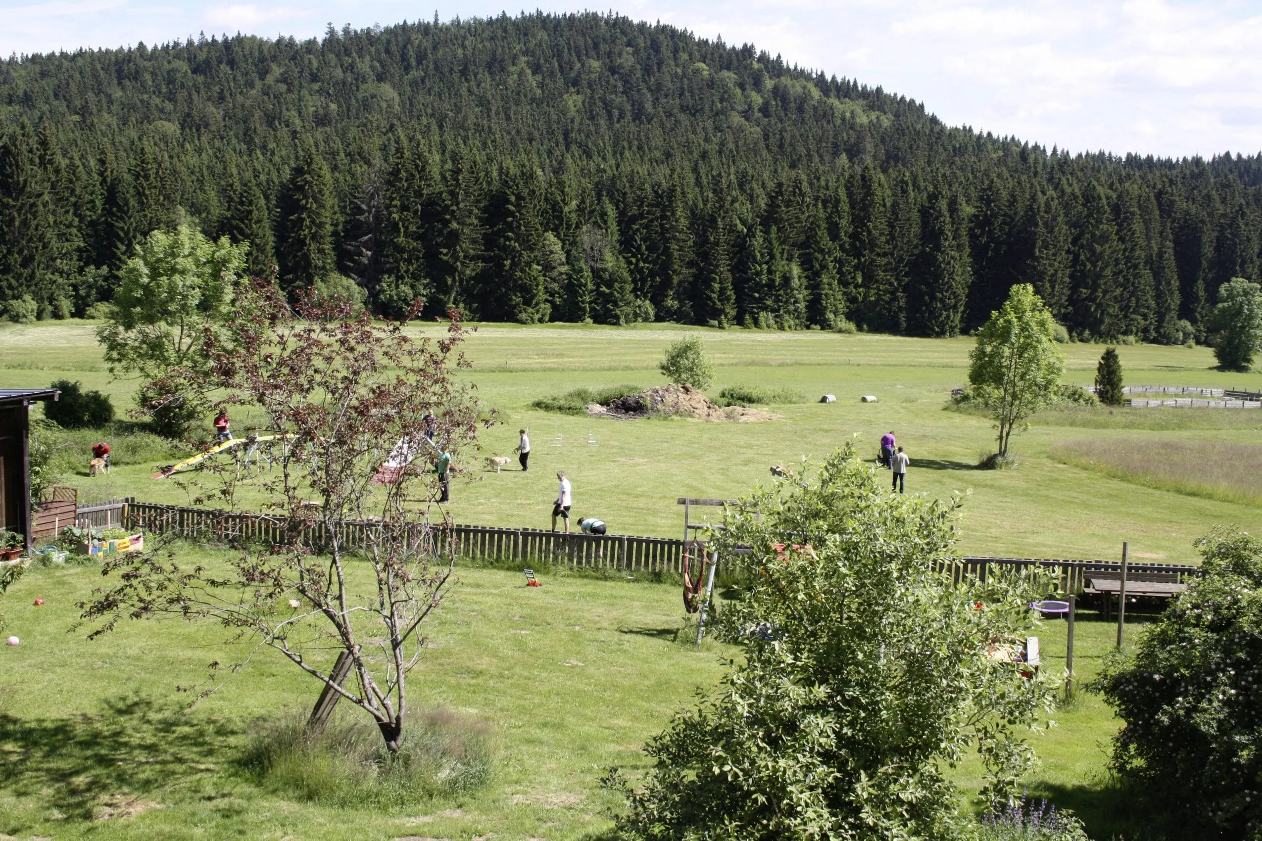 Hundetraining auf gr&uuml;ner Wiese im Hotel B&auml;renhof