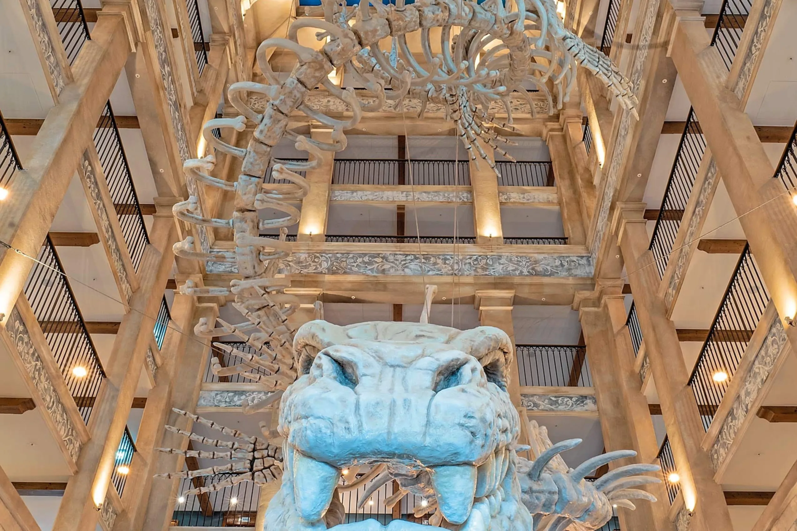 Riesiges Schlangenskelett in der Lobby des Abenteuerhotels Krønasår im Europa-Park in Rust