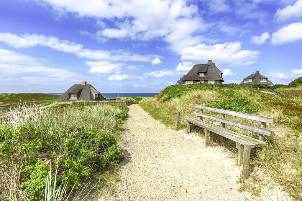 Dünen mit Bank und Häusern auf Sylt, im Hintergrund kann man das Meer sehen